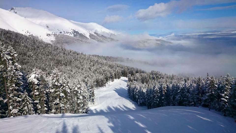 Fortuna Luxury Apartment Bansko Exteriér fotografie