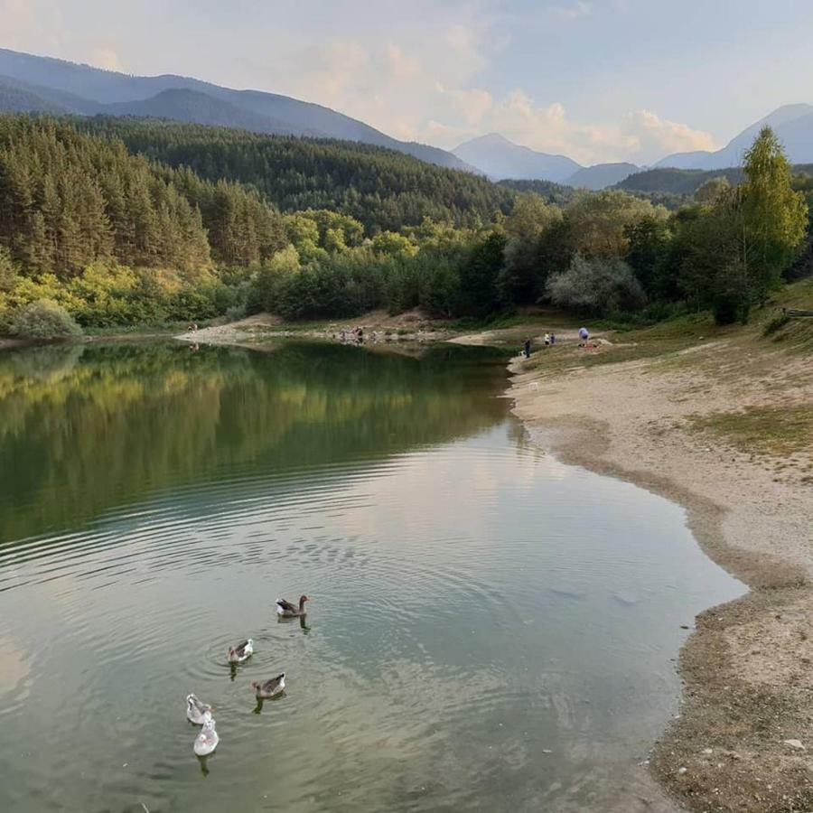 Fortuna Luxury Apartment Bansko Exteriér fotografie